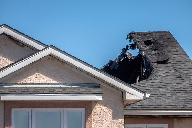 Top rated local Fire Damage Repair specialists in Fort Belvoir, VA